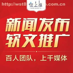 杭州往上推網絡科技與阿土伯網 杭州網絡技術服務的新標桿